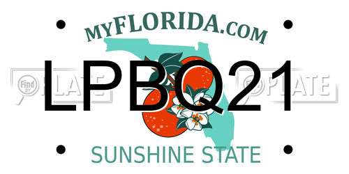 LPBQ21 Florida License Plate