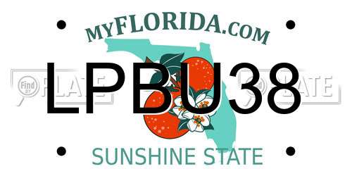 LPBU38 Florida License Plate