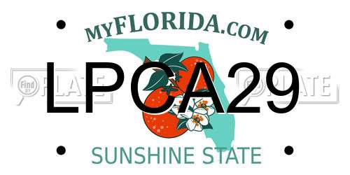 LPCA29 Florida License Plate