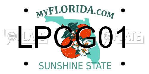 LPCG01 Florida License Plate