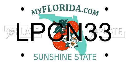 LPCN33 Florida License Plate