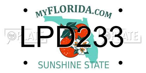 LPD233 Florida License Plate
