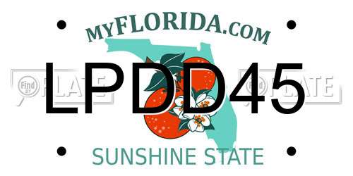 LPDD45 Florida License Plate