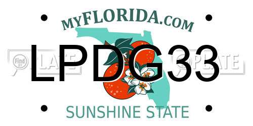 LPDG33 Florida License Plate