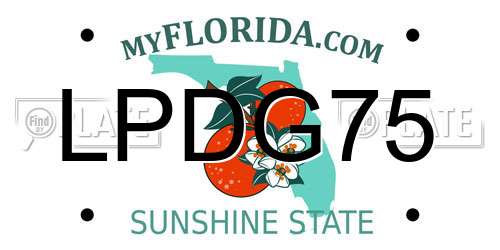 LPDG75 Florida License Plate