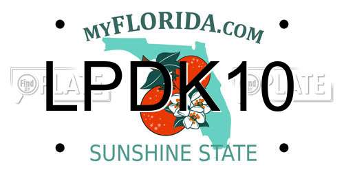 LPDK10 Florida License Plate