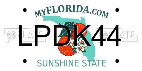 LPDK44 Florida License Plate