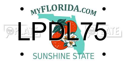 LPDL75 Florida License Plate