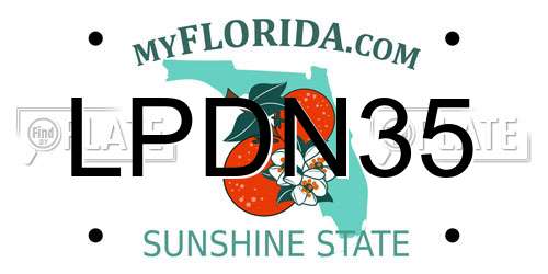 LPDN35 Florida License Plate