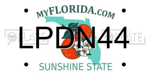 LPDN44 Florida License Plate