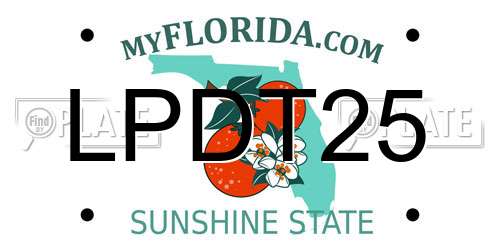 LPDT25 Florida License Plate