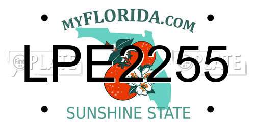 LPE2255 Florida License Plate