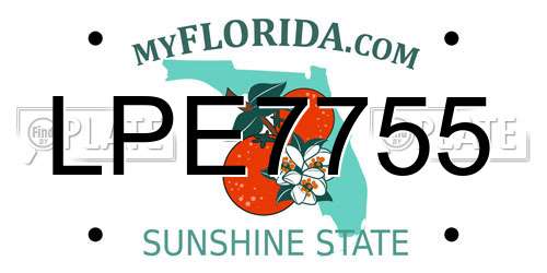 LPE7755 Florida License Plate