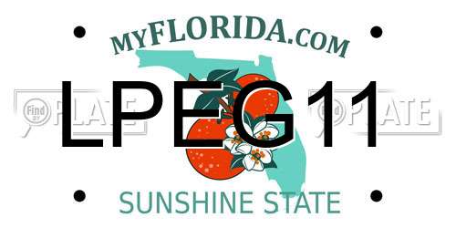LPEG11 Florida License Plate
