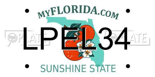 LPEL34 Florida License Plate