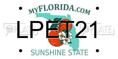 LPET21 Florida License Plate