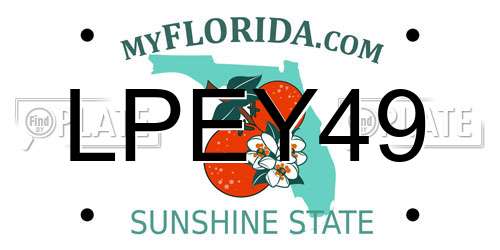 LPEY49 Florida License Plate