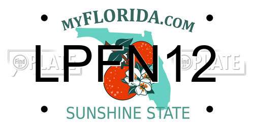 LPFN12 Florida License Plate
