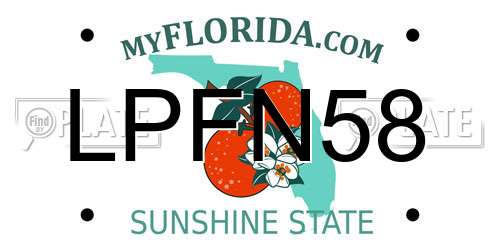 LPFN58 Florida License Plate