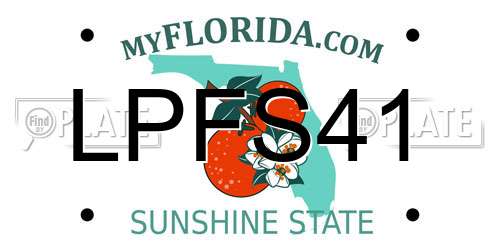 LPFS41 Florida License Plate