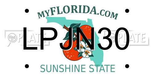 LPJN30 Florida License Plate
