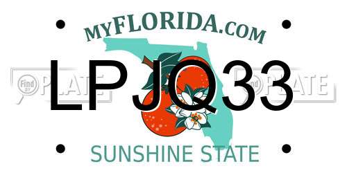 LPJQ33 Florida License Plate
