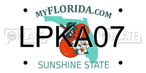 LPKA07 Florida License Plate