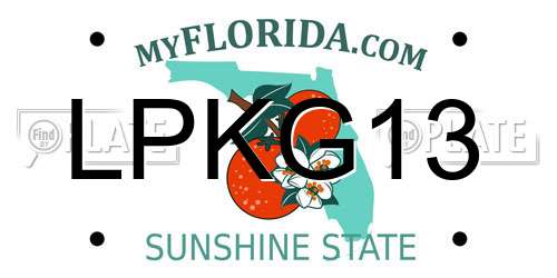 LPKG13 Florida License Plate