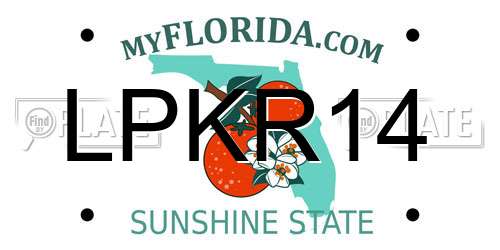 LPKR14 Florida License Plate