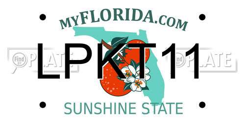 LPKT11 Florida License Plate