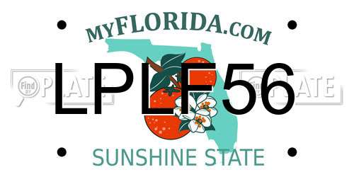 LPLF56 Florida License Plate