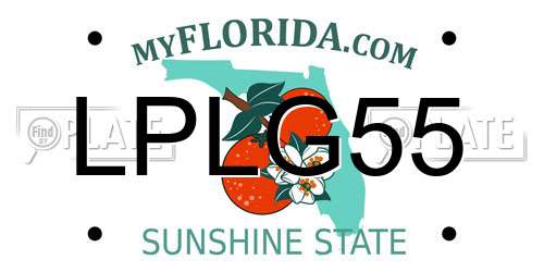 LPLG55 Florida License Plate