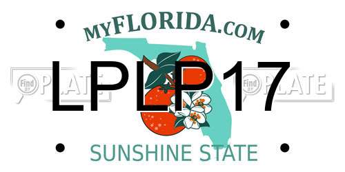 LPLP17 Florida License Plate