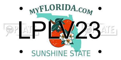 LPLV23 Florida License Plate