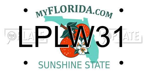 LPLW31 Florida License Plate