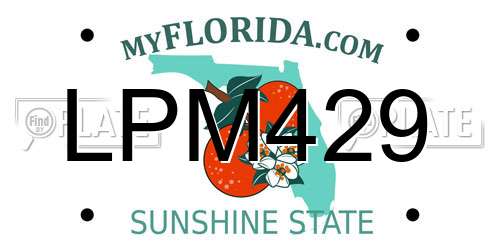 LPM429 Florida License Plate