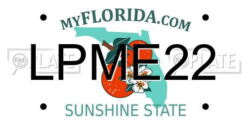 LPME22 Florida License Plate