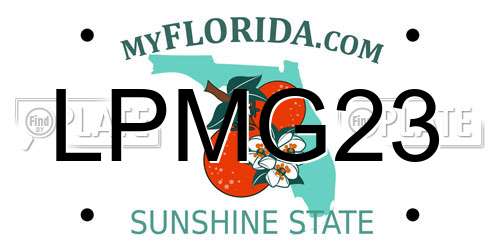 LPMG23 Florida License Plate
