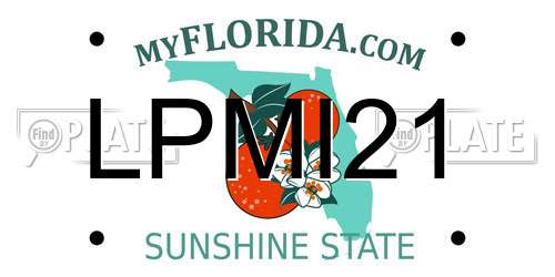 LPMI21 Florida License Plate