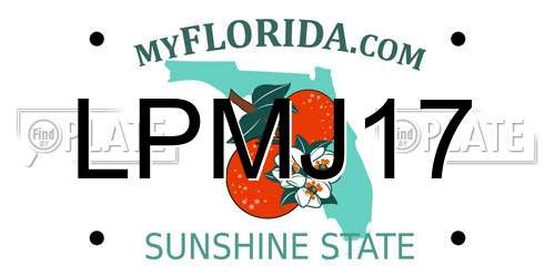 LPMJ17 Florida License Plate