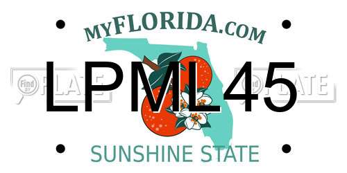 LPML45 Florida License Plate