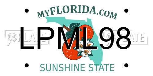 LPML98 Florida License Plate