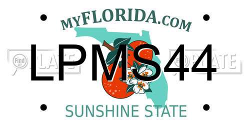 LPMS44 Florida License Plate
