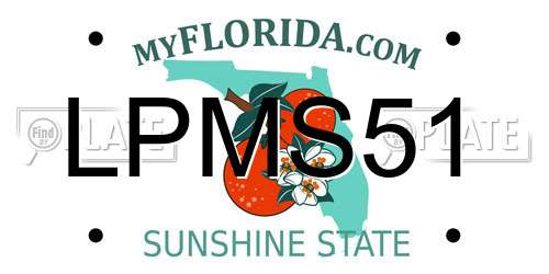 LPMS51 Florida License Plate