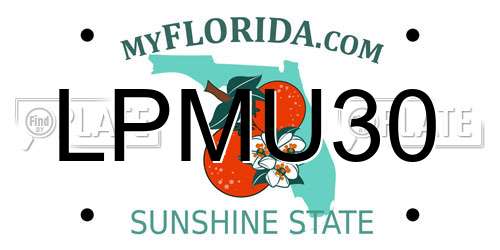 LPMU30 Florida License Plate