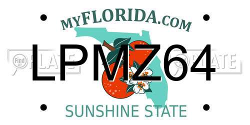 LPMZ64 Florida License Plate