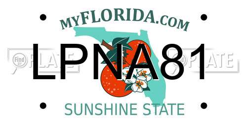 LPNA81 Florida License Plate