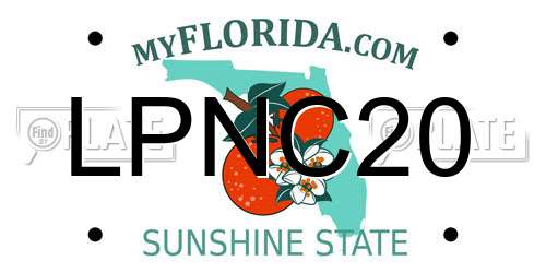 LPNC20 Florida License Plate