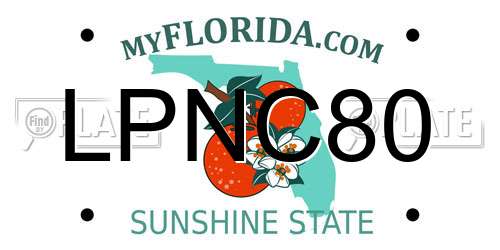 LPNC80 Florida License Plate