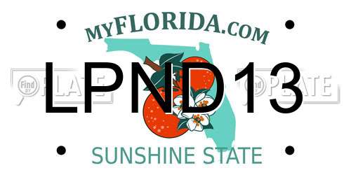 LPND13 Florida License Plate
